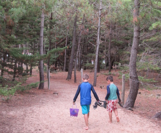 Venue Holidays, France, Campsite Vendee, St Hilaire, La Plage, Pool Slides